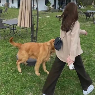 百万个幸福现在